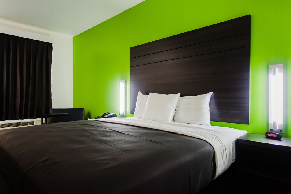 Palacio Royale Inn Boutique Katy - photo 35