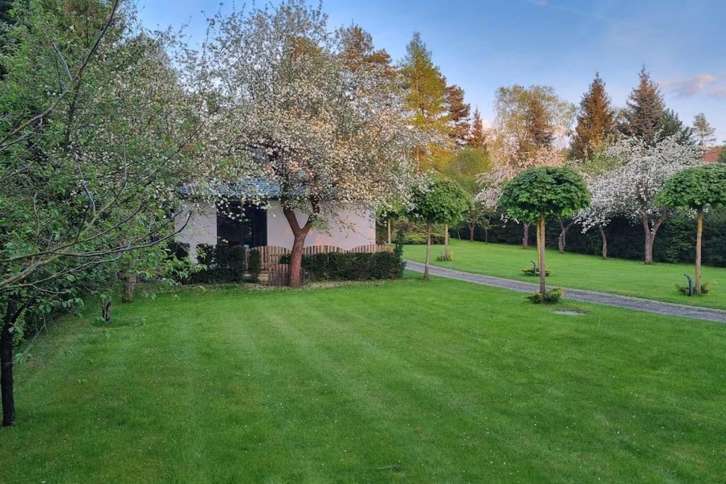 Pod Jabłonią in Bydgoszcz, Poland