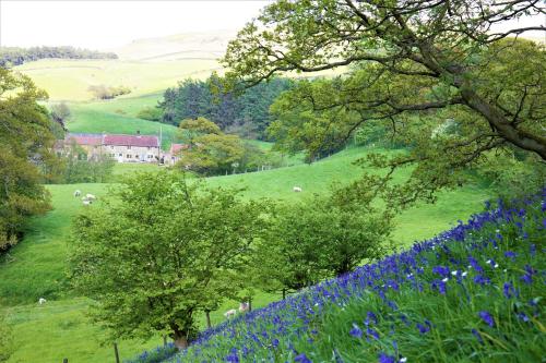Bluebells Cottage — 4-Star Luxury Hotel in Middlesbrough, United Kingdom