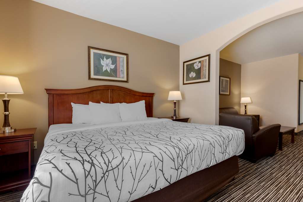 Best Western Plus Sweetwater Inn & Suites - photo 17