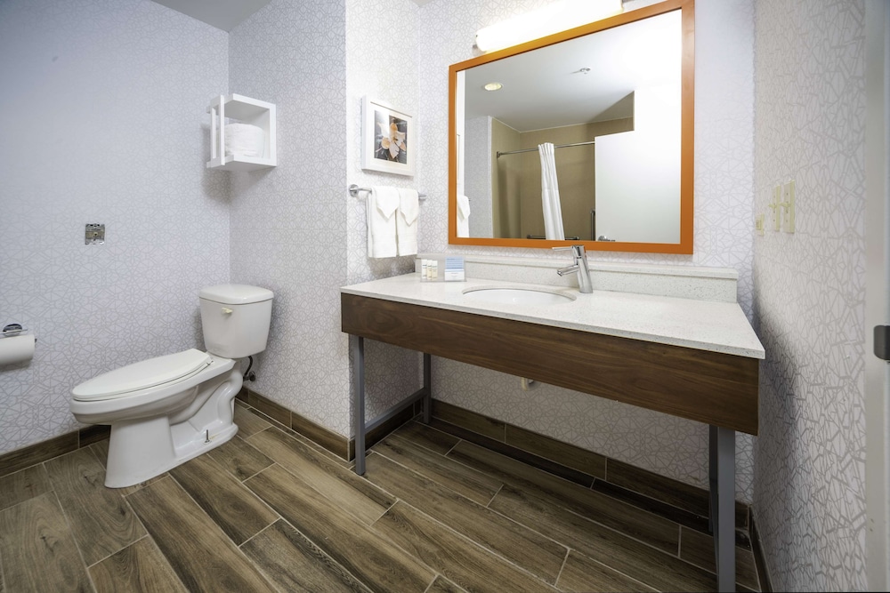 Hampton Inn & Suites New Iberia Avery Island - photo 49