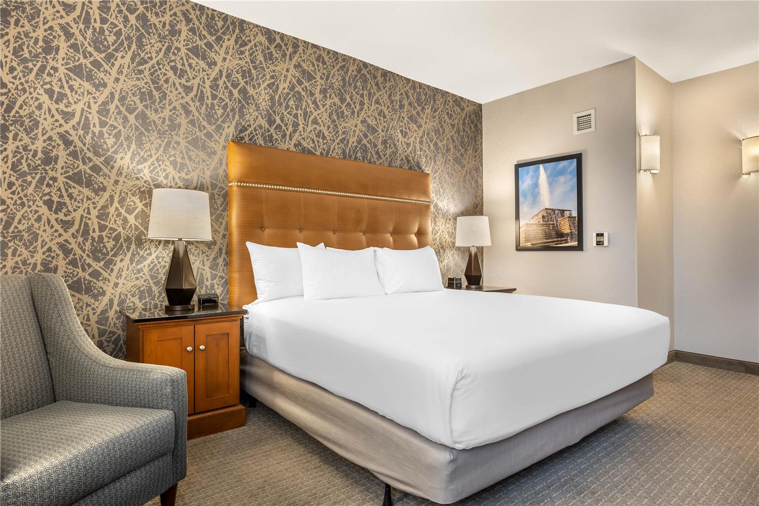 Drury Inn & Suites Springfield MO - photo 31