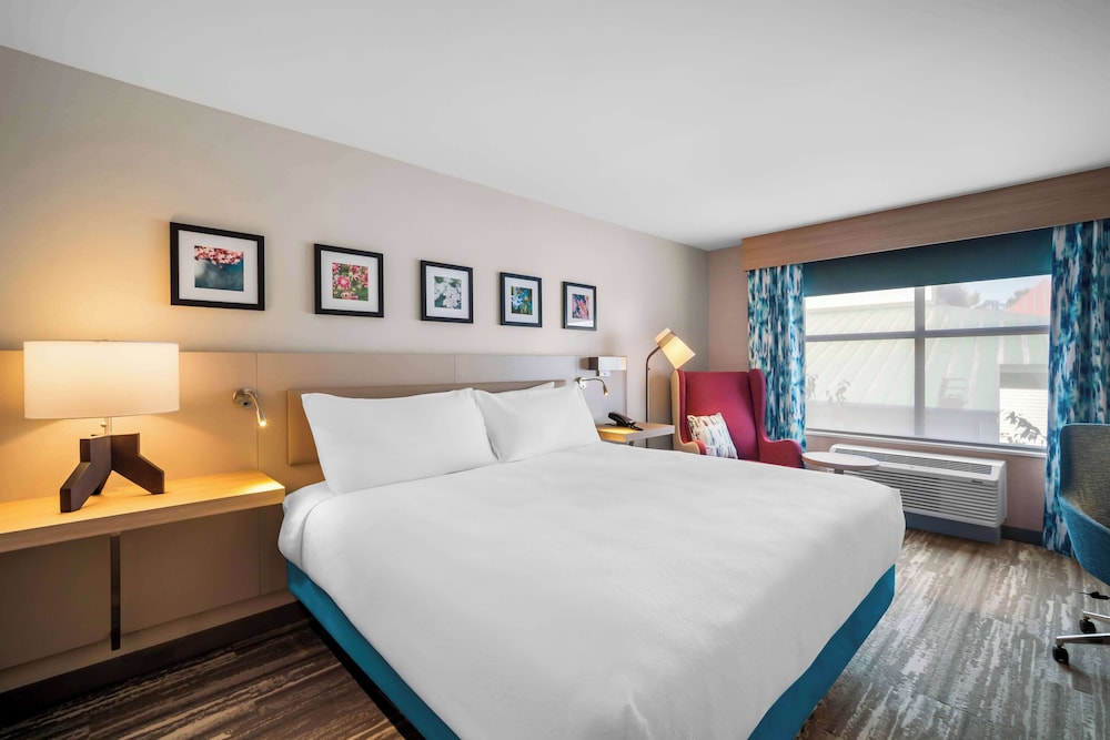 Hilton Garden Inn North Conway - photo 19