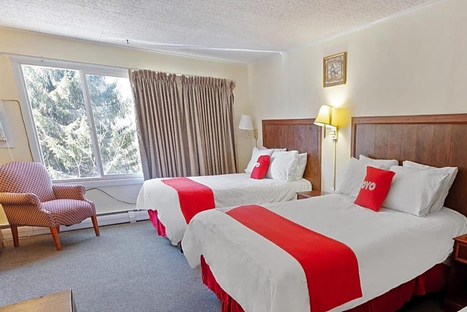 Buena Vista Inn Motel - photo 19