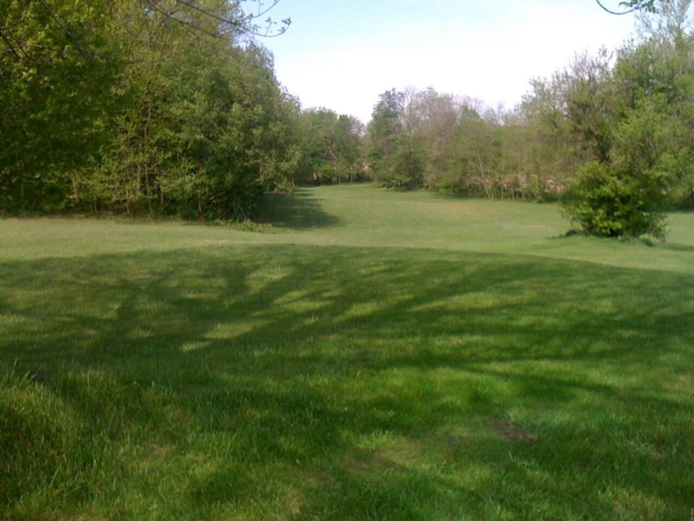 Cool Springs Inn - photo 33