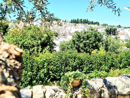 Panoramic Terrace — Alberobello — photo 4