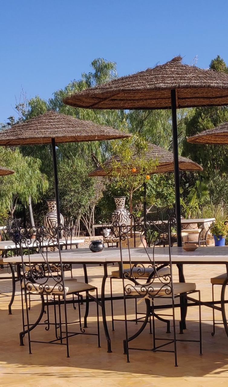 Out Of Medina in Essaouira, Morocco