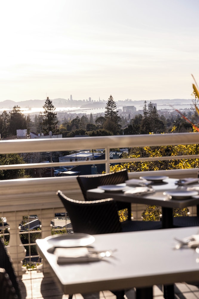 Claremont Club & Spa A Fairmont Hotel - photo 99