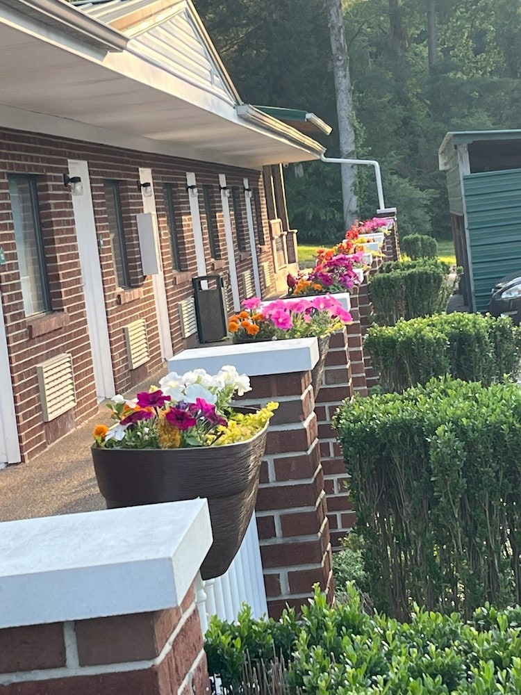 Pine Tree Inn - photo 46