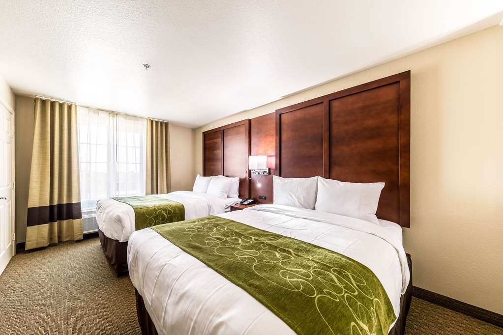 Comfort Suites Grand Prairie Arlington North - photo 18