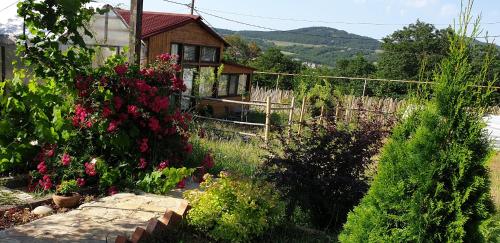 Kiketi Paradise in Unknown City, Georgia