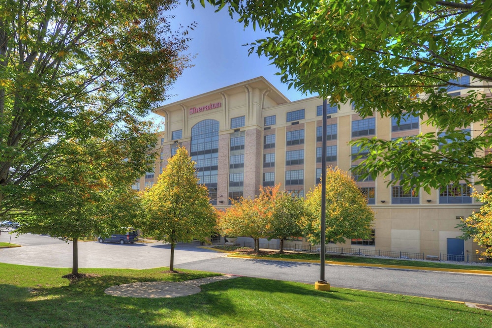 Sheraton Baltimore Washington Airport Hotel BWI - photo 57