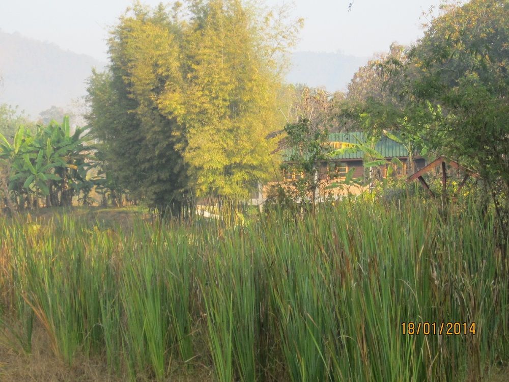 Banpaja Resort — Dan Sai — photo 3