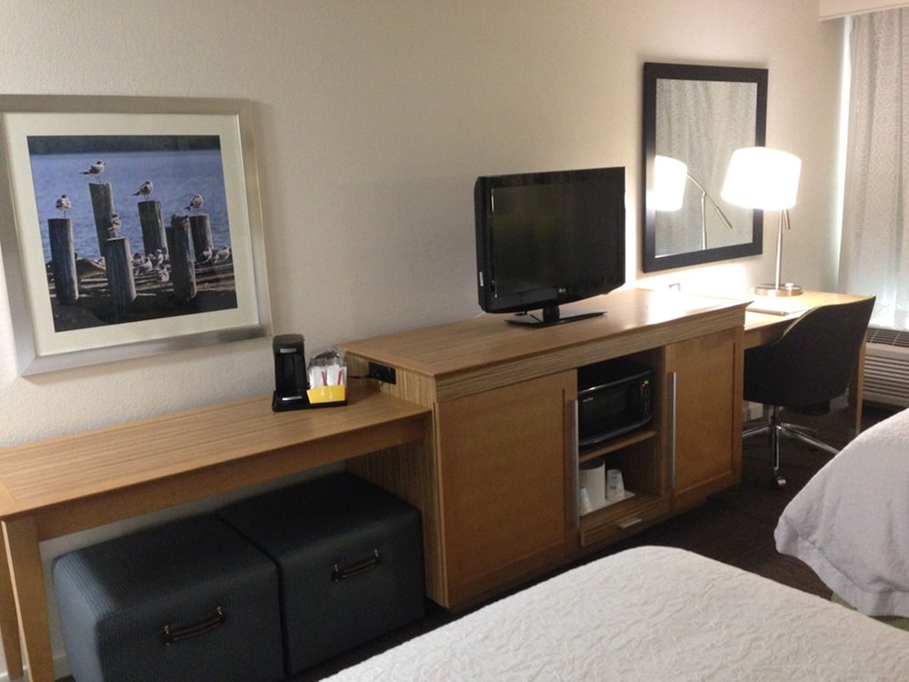 Hampton Inn Tampa Rocky Point Airport - photo 5