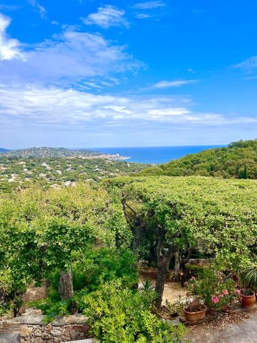 Les Collines - carbon neutral hotel in Sainte-Maxime