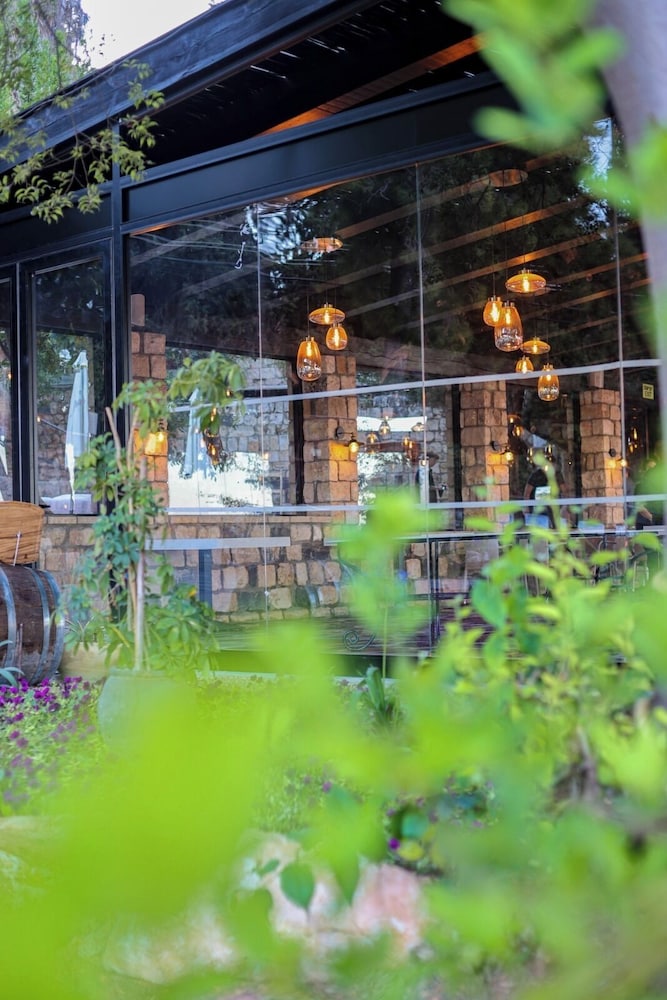 Pina Barosh in Rosh Pinna, Israel