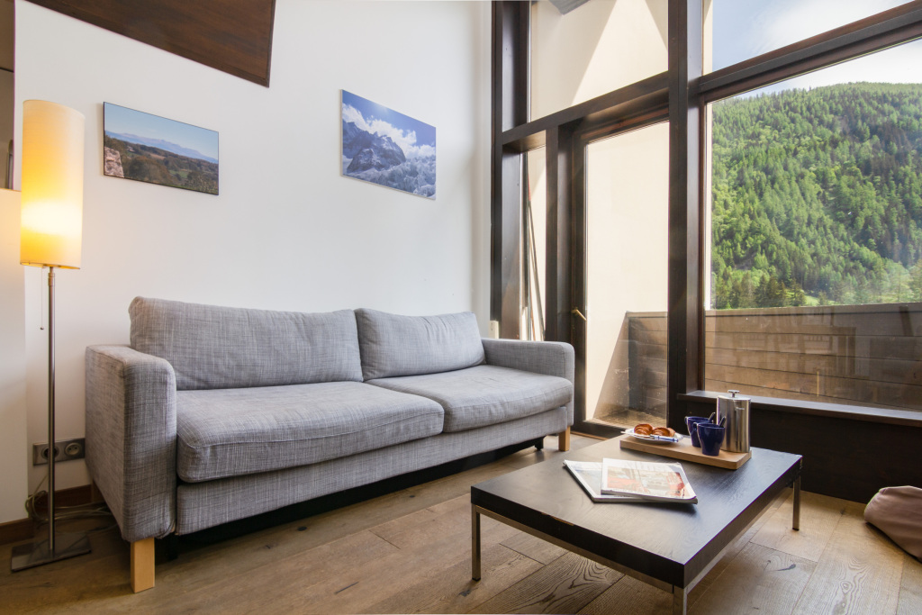 R sidence Grand Roc Bruy res 301 in Chamonix-Mont-Blanc, France