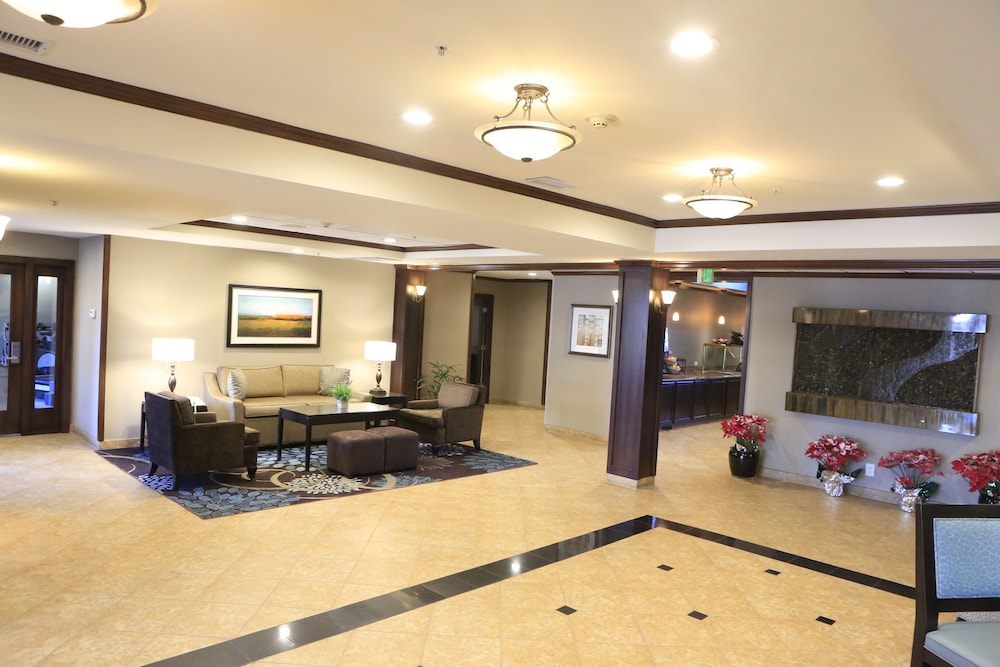 Staybridge Suites Silicon Valley an IHG Hotel - photo 3