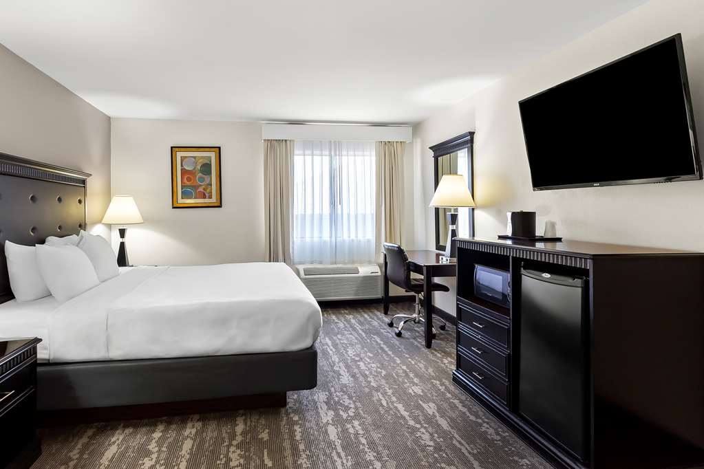 Best Western Saluki Inn - photo 22