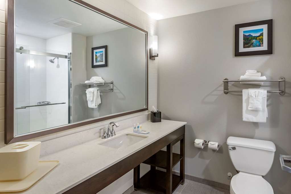Comfort Inn & Suites Salt Lake City Airport - photo 28