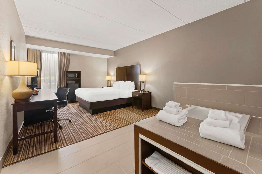 Comfort Inn Lehigh Valley West Allentown - photo 23