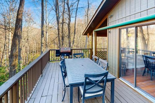 The Nunv Cabin — Brevard — photo 2