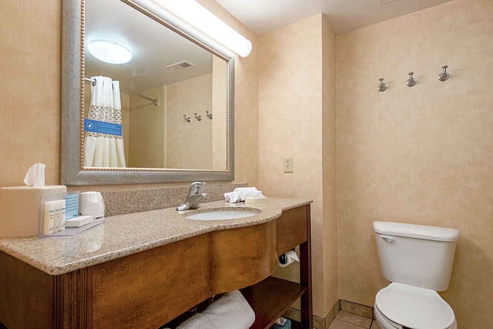 Hampton Inn Pine Grove - photo 35