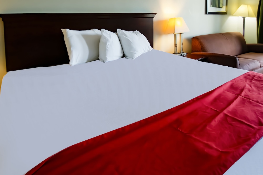 Cypress Inn & Suites Washington by OYO - photo 8