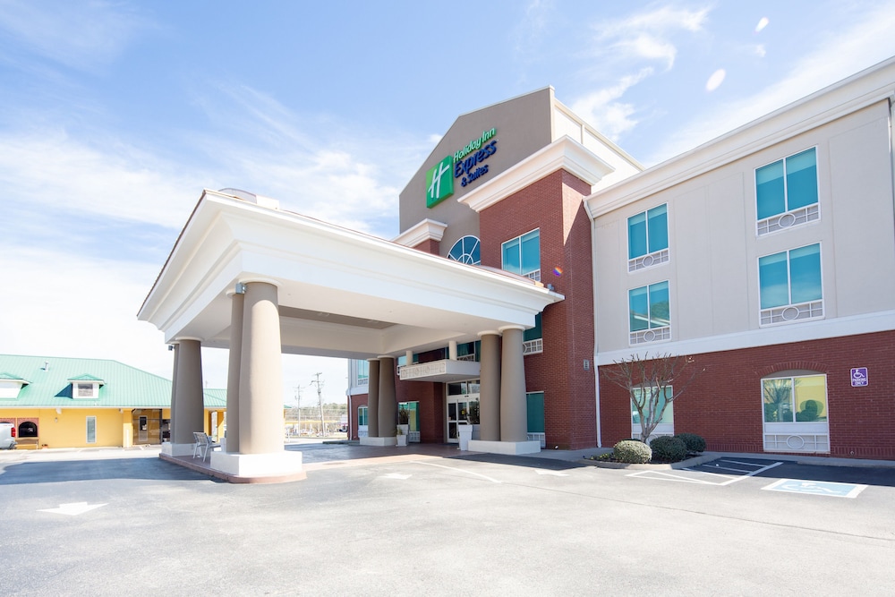 Holiday Inn Express & Suites Lenoir Cty by IHG - photo 48