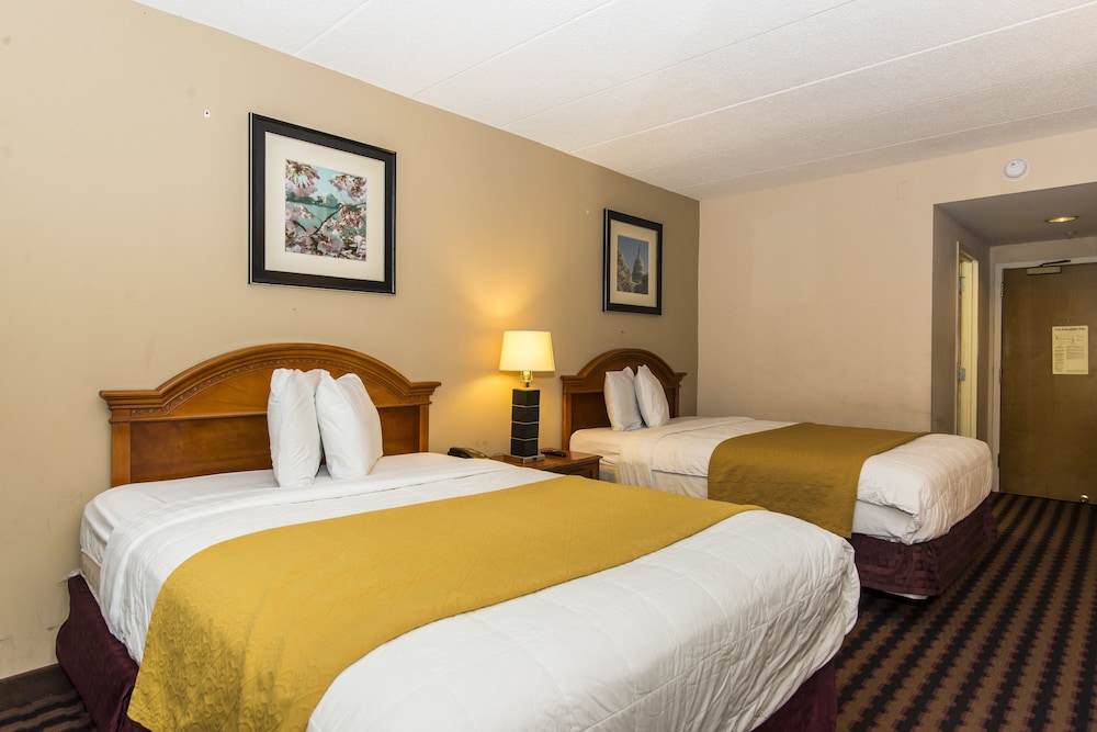 Garden Inn - photo 7