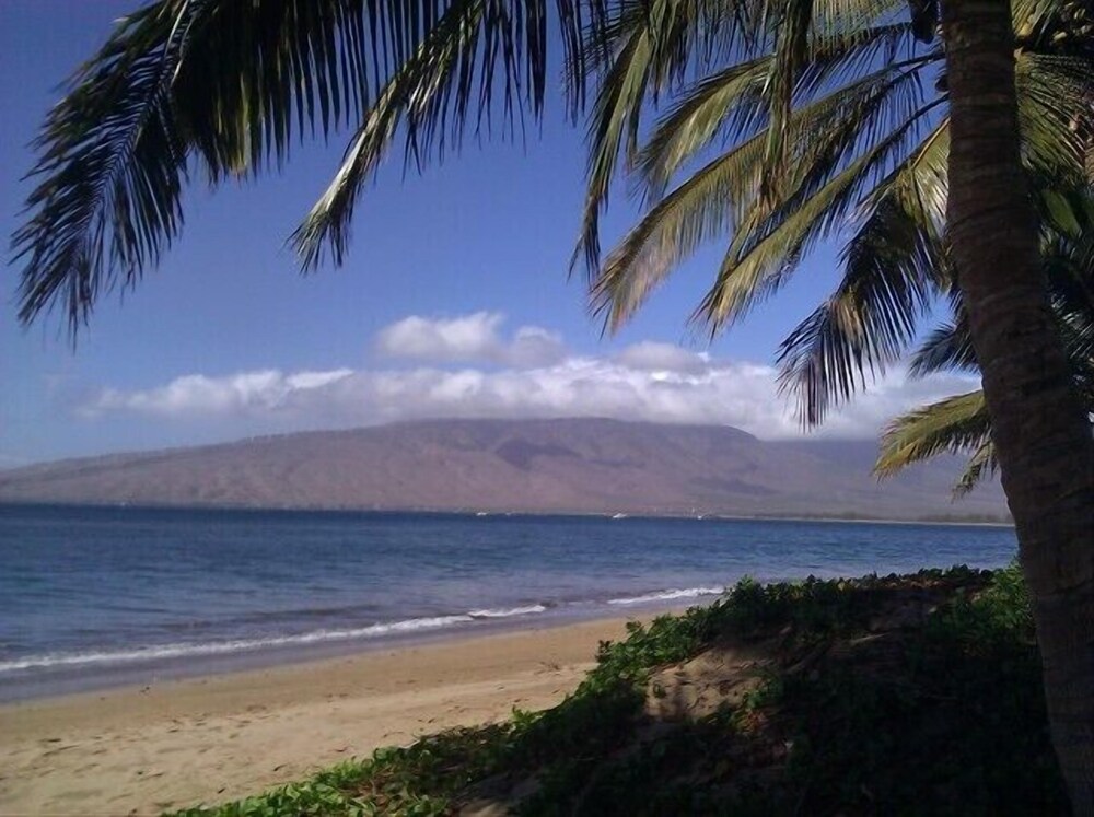 Kihei Akahi D402 - photo 36