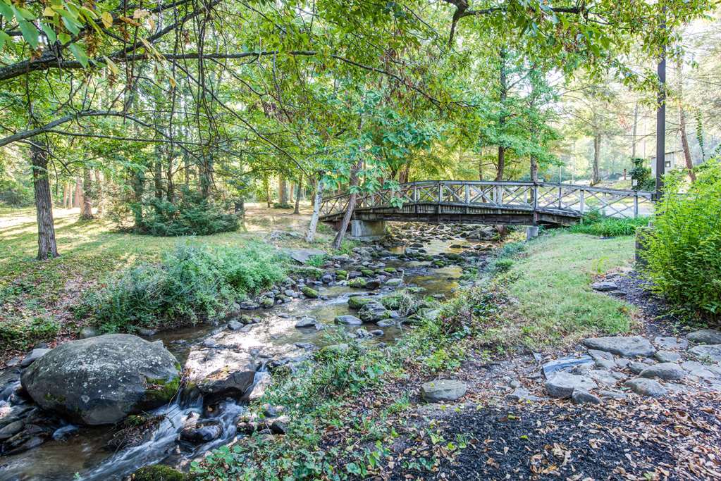 Quality Inn Creekside Downtown Gatlinburg - photo 43
