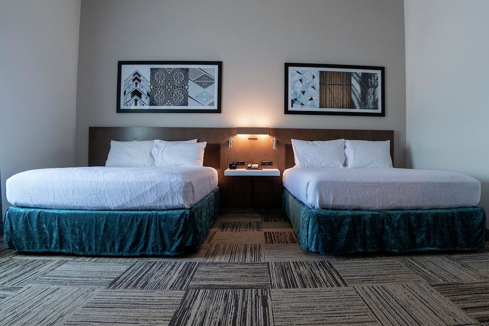 Hilton Garden Inn Spartanburg - photo 20