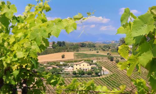 Terra di Ea in Tortoreto Lido, Italy