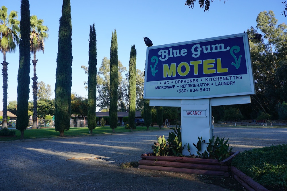 Blue Gum Motel — hotel in Willows