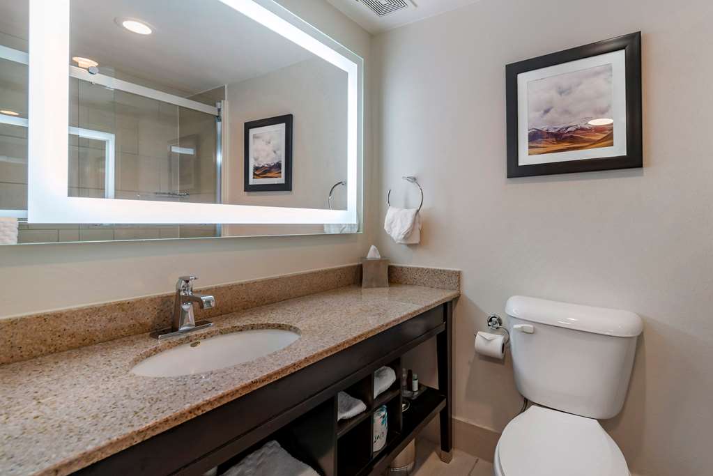 Best Western Premier Denver East - photo 5