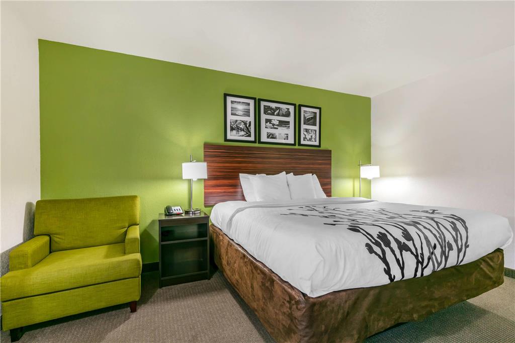 Sleep Inn & Suites near Sports World Blvd - photo 6