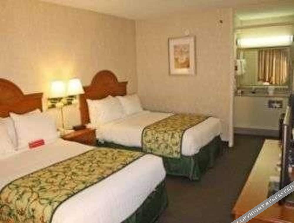 Ramada by Wyndham Asheville Biltmore West - photo 3