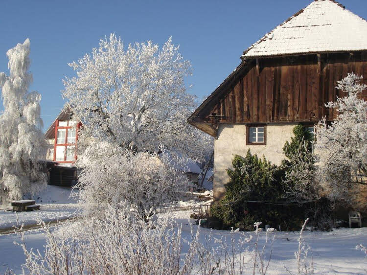 Wellnesshotel Schiesselhof — hotel in Grafenhausen