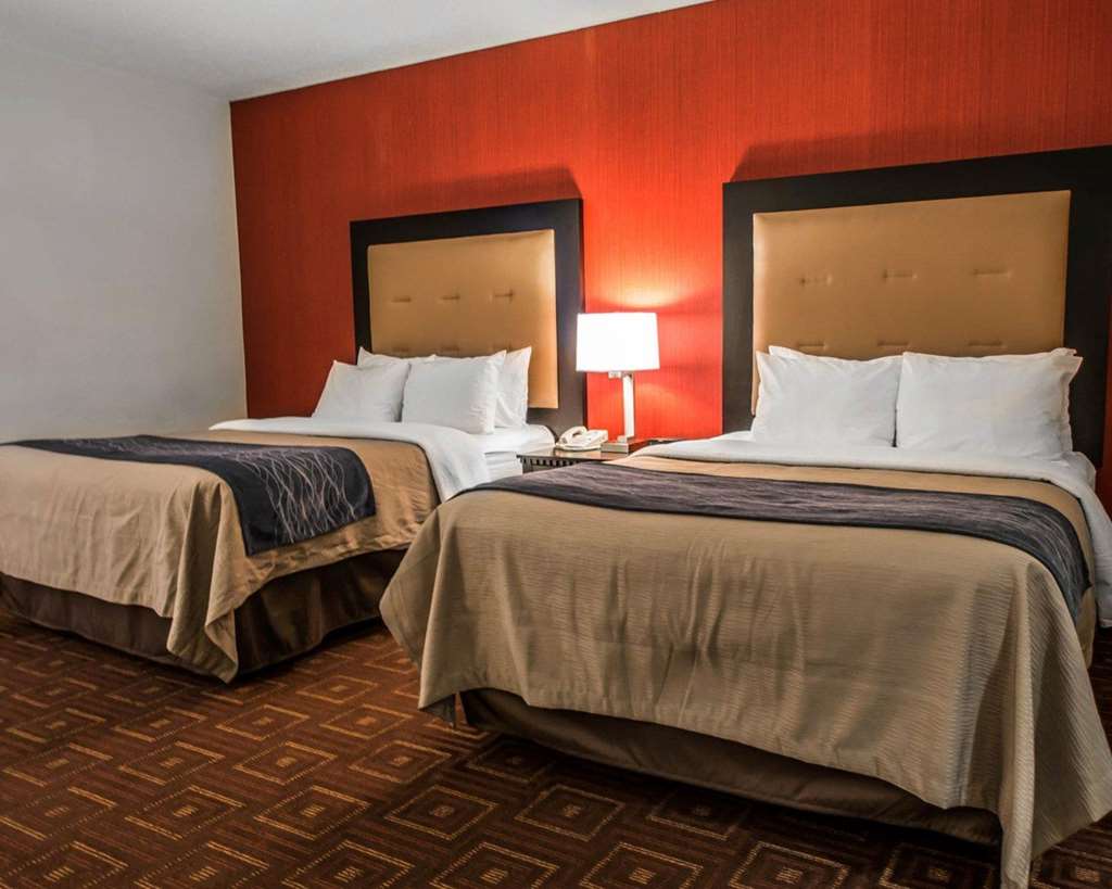 Quality Inn & Suites NJ State Capital Area - photo 23
