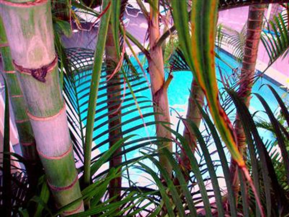 Ambrosia Key West - photo 24