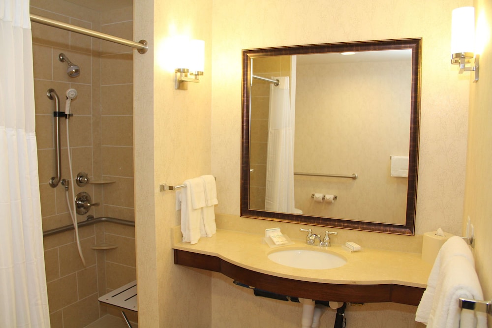 Hilton Garden Inn San Antonio At The Rim - photo 21