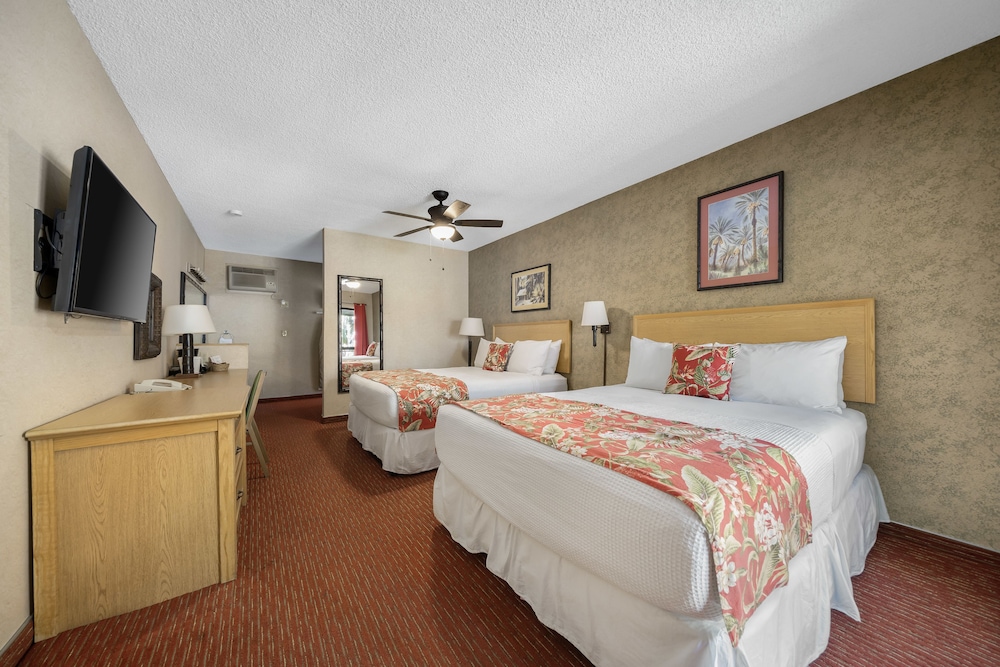 Caliente Tropics Hotel - photo 16