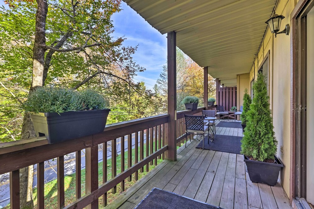 Pet friendly Condo: Walk to Beech Mtn Resort - photo 25