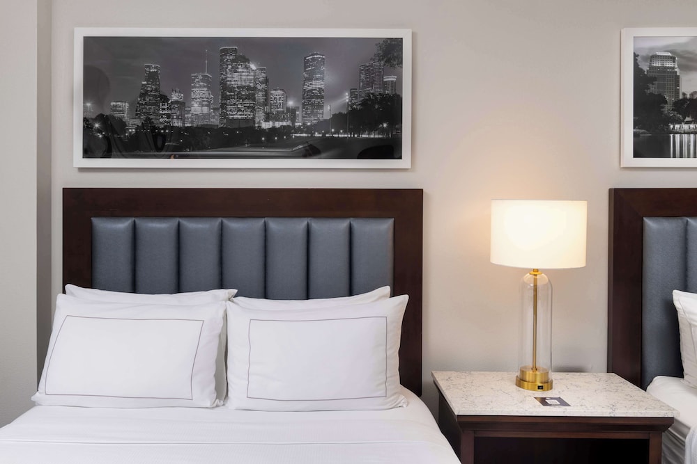 DoubleTree by Hilton Houston Medical Center Hotel & Suites - photo 21