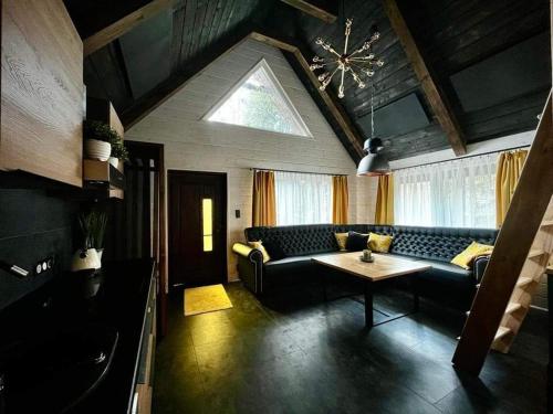 Willa pod Jemiołą - last minute hotel in Wisla