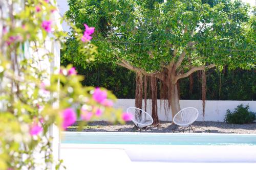 AllaTorretta23 in Fasano, Italy