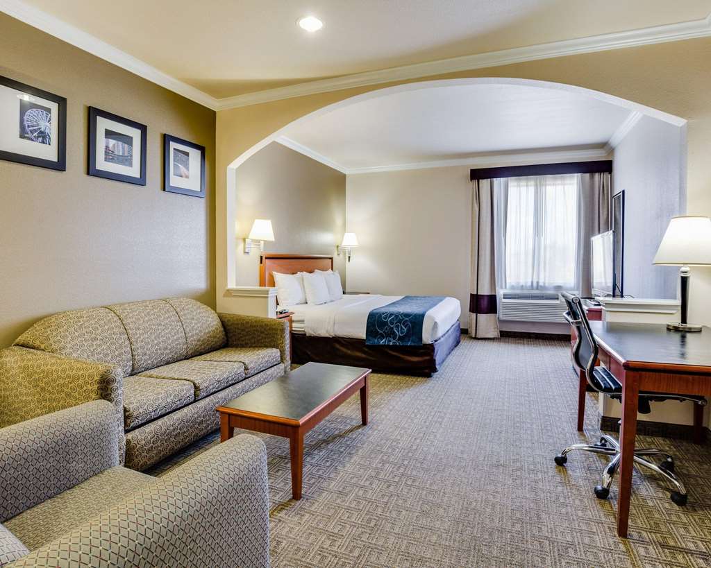 Comfort Suites Deer Park Pasadena - photo 13