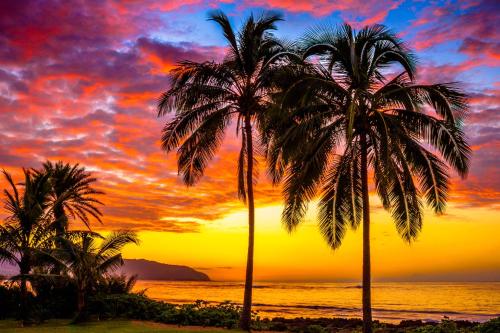 Charming Beach Apartment Your Hawaiian Getaway — 4-Star Luxury Hotel in Hale'iwa, United States
