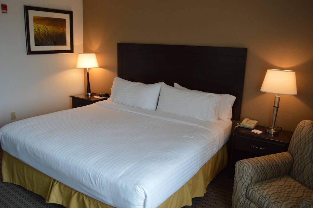 Holiday Inn Express & Suites Winner by IHG - photo 13